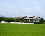 東根温泉 青松館に格安で泊まる。 東根温泉 青松館に格安で泊まる。