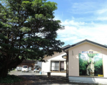 民宿 いっぱち <屋久島>に格安で泊まる。 民宿 いっぱち <屋久島>に格安で泊まる。